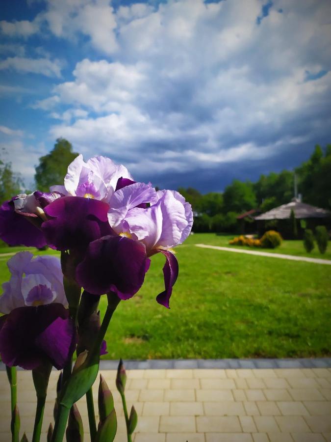 Hotel Osrodek Wczasowy "Wczasy Pod Grusza" Biecz Esterno foto