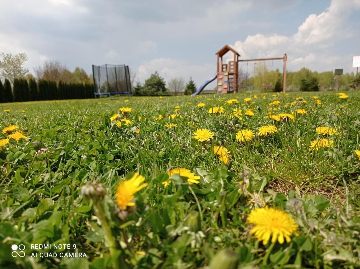 Hotel Osrodek Wczasowy "Wczasy Pod Grusza" Biecz Esterno foto