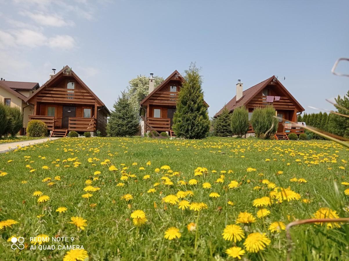 Hotel Osrodek Wczasowy "Wczasy Pod Grusza" Biecz Esterno foto