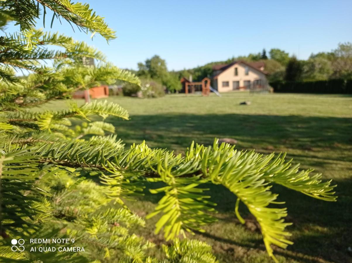 Hotel Osrodek Wczasowy "Wczasy Pod Grusza" Biecz Esterno foto